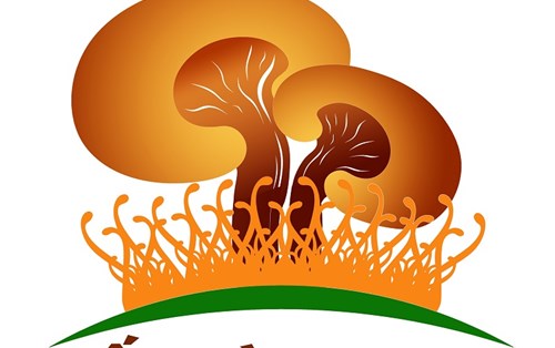 Sở KHCN Đà Nẵng: Kết quả nổi bật phát triển tài sản trí tuệ trên địa bàn thành phố Đà Nẵng năm 2021